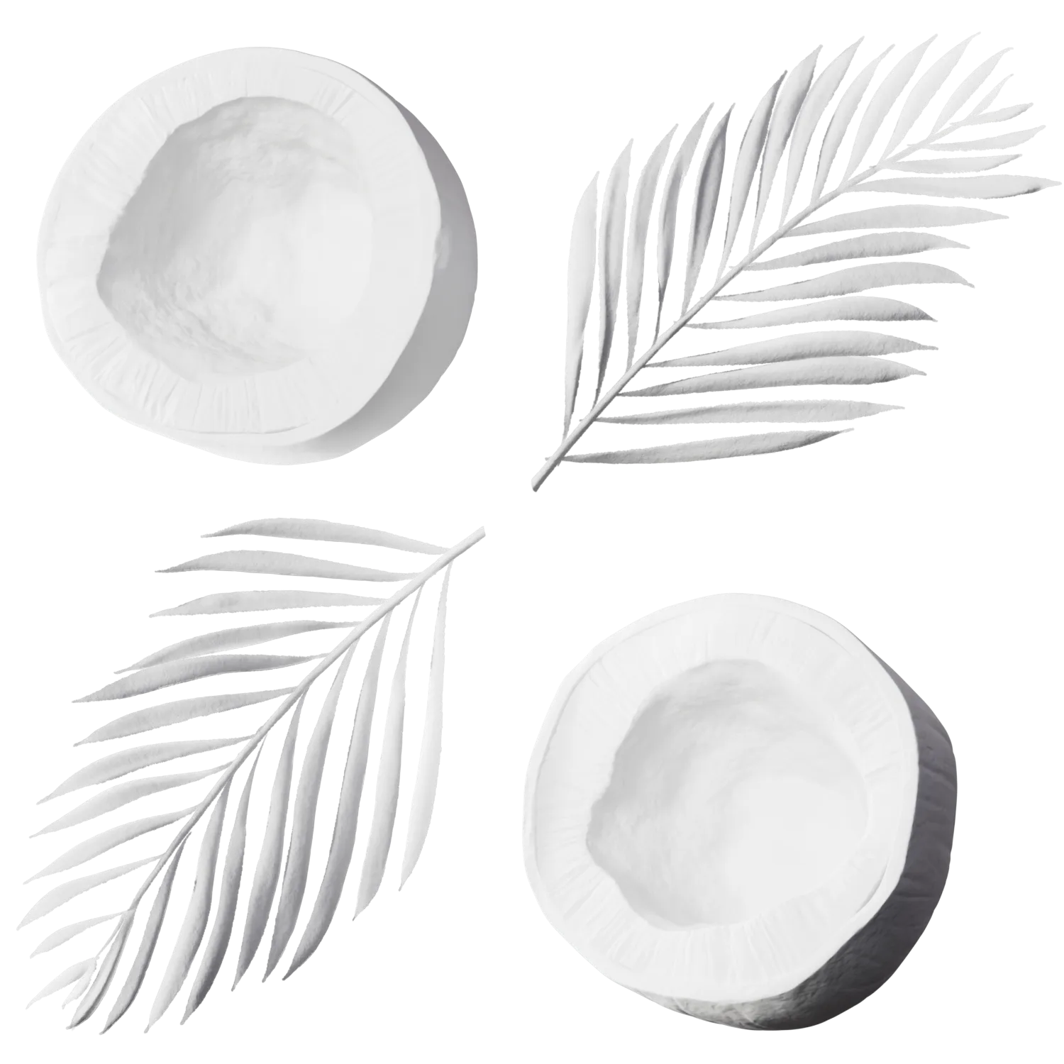 Lambertian shader of the coconut label