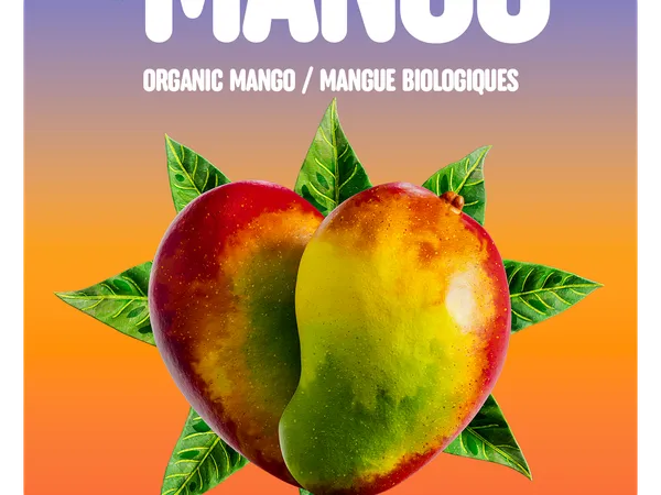 Mango Pieces