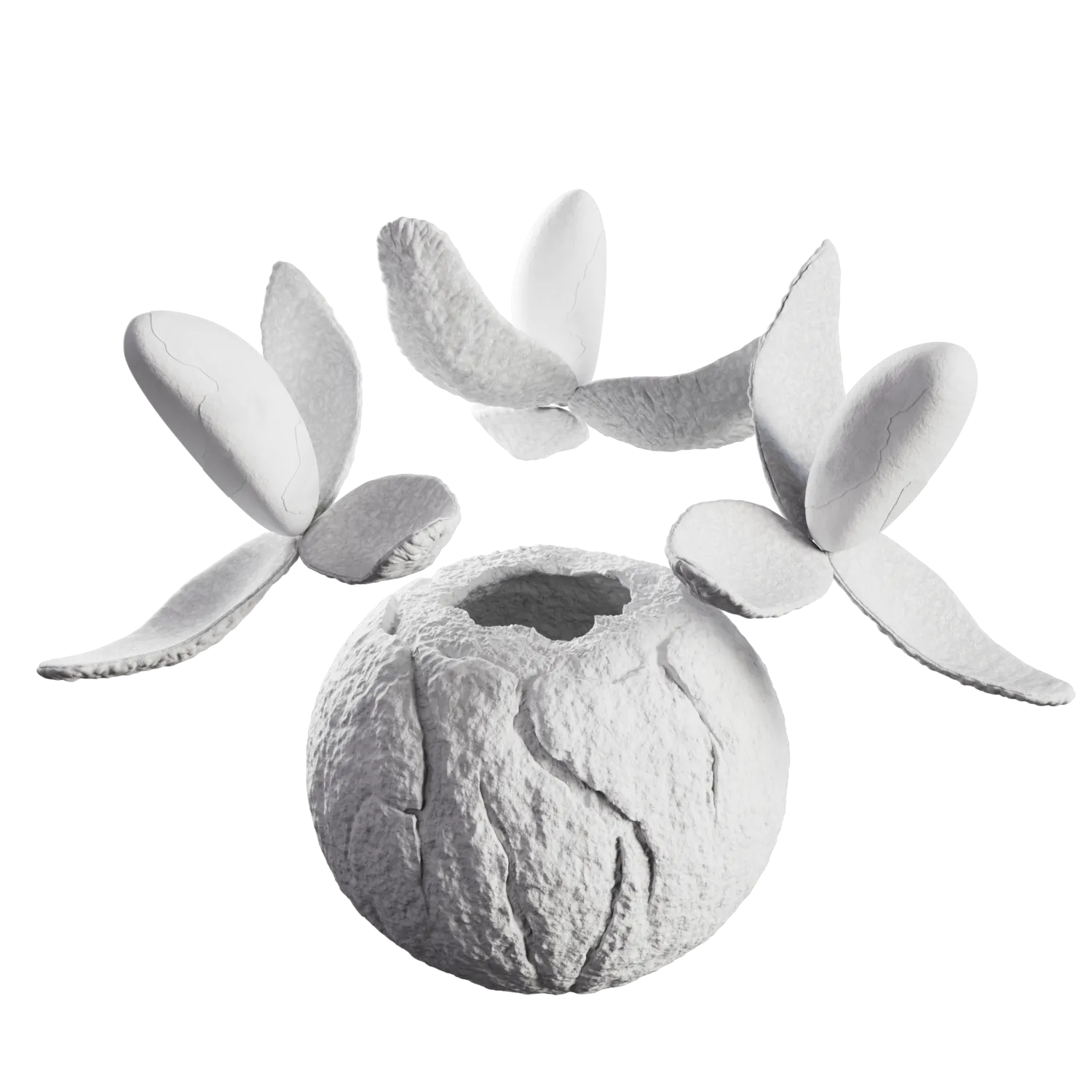 Lambertian shader of the brazil nuts label