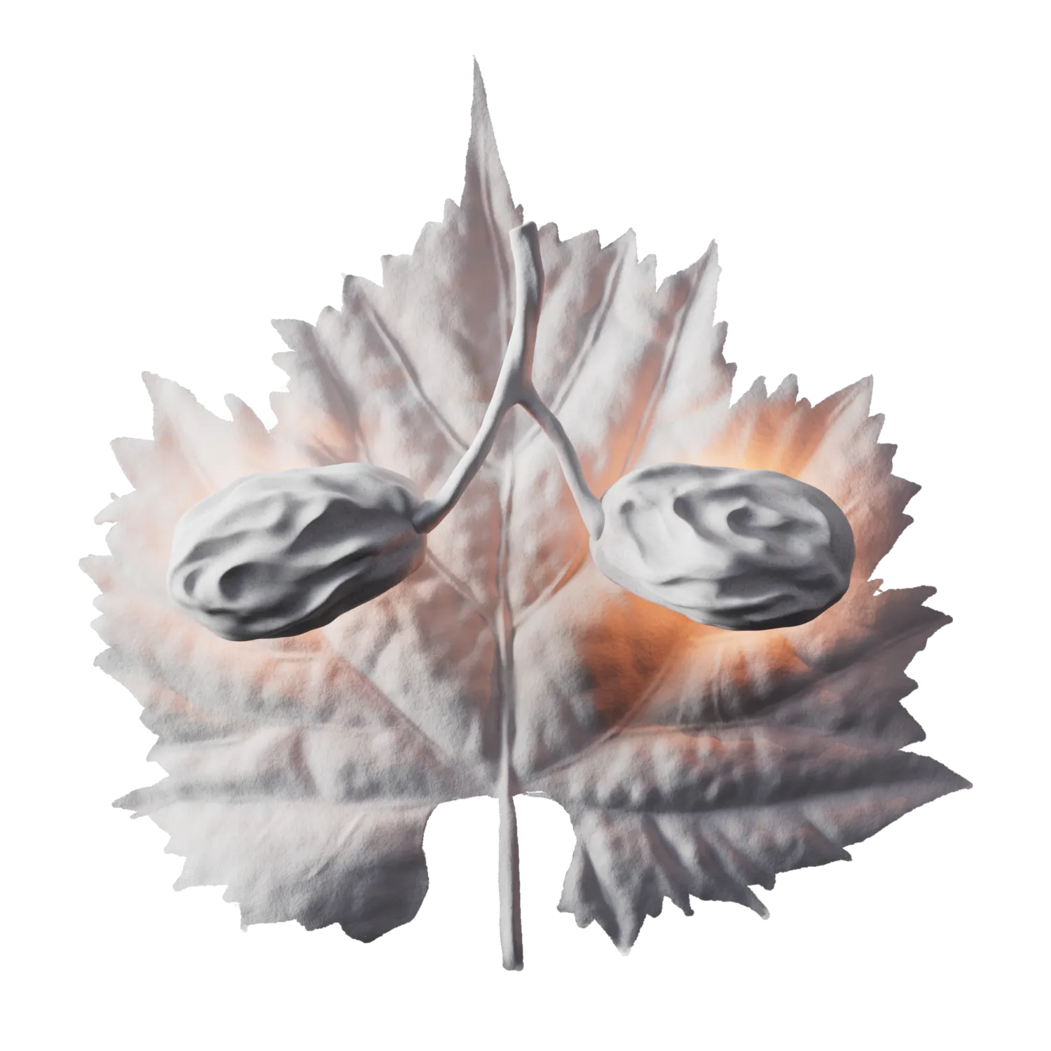 Lambertian shader of the raisins label