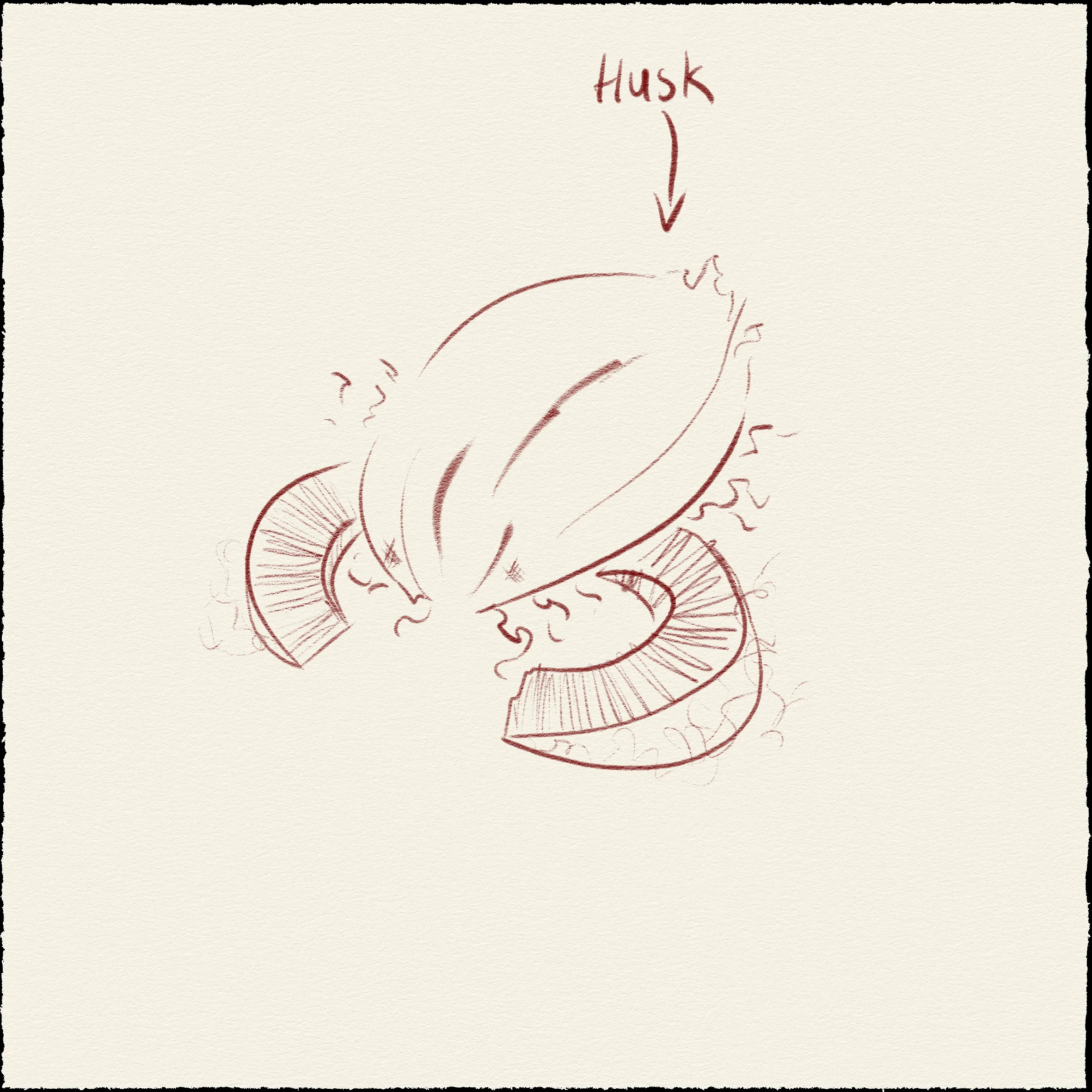 Sketch 01