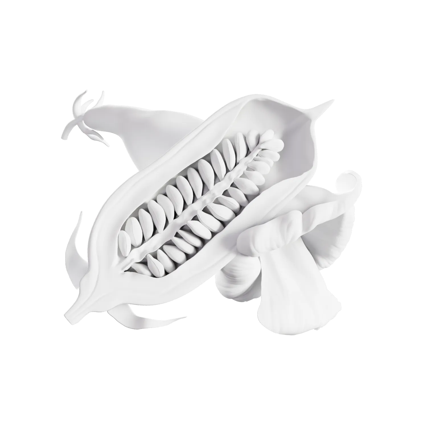 Flat render of MONKI BIO Black tahini