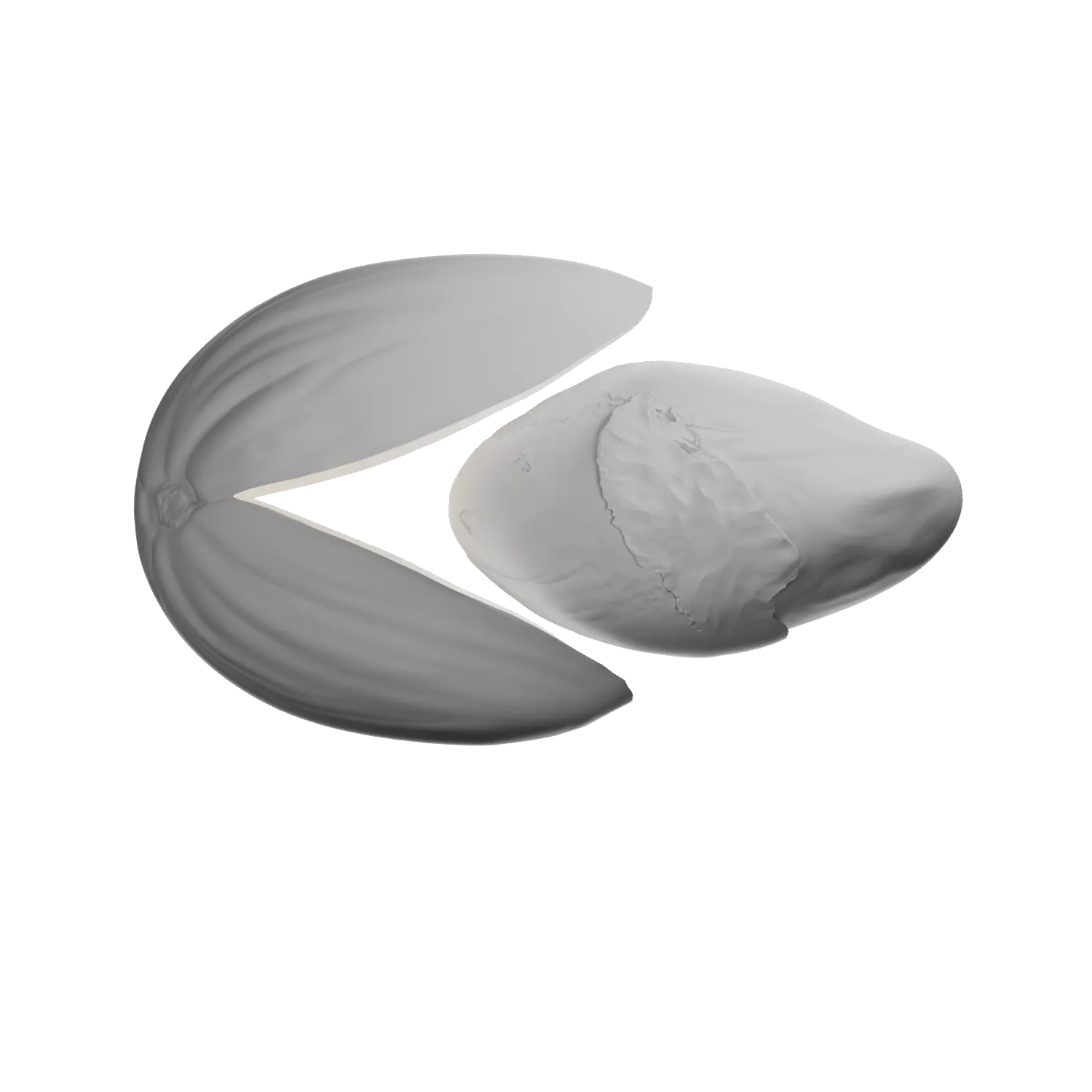 Flat render of MONKI BIO Pistachio butter