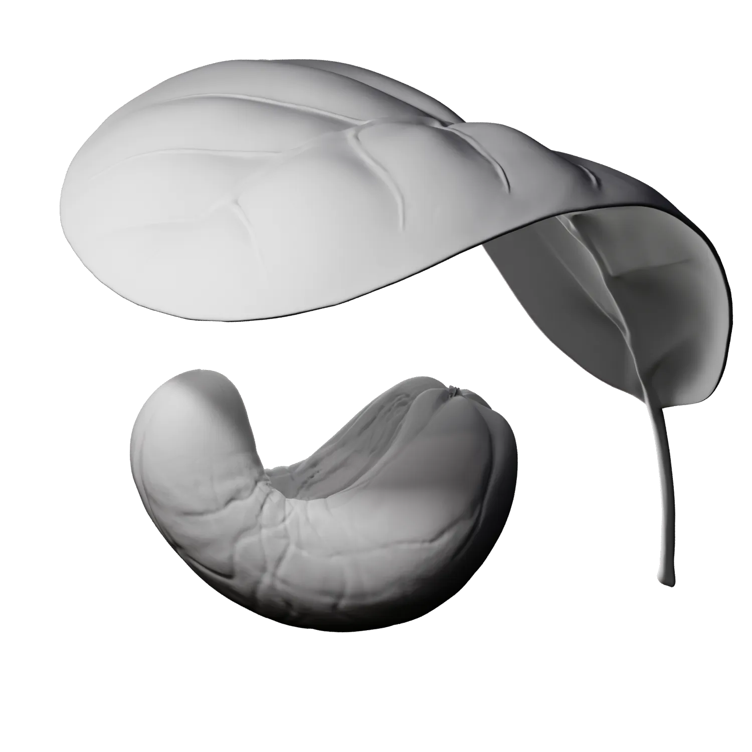 Flat render of MONKI BIO White cashew butter