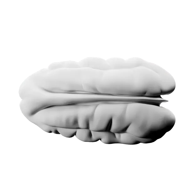 Flat render of MONKI BIO Pecan butter