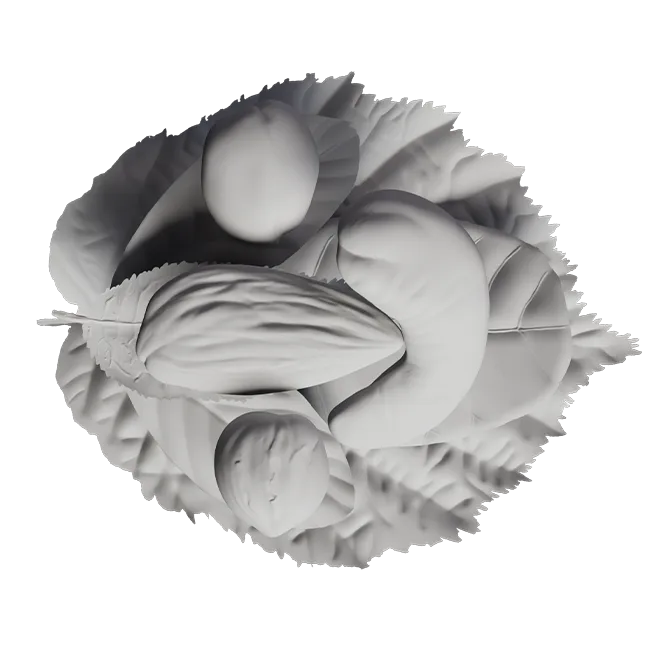 Flat render of MONKI BIO Four nut butter