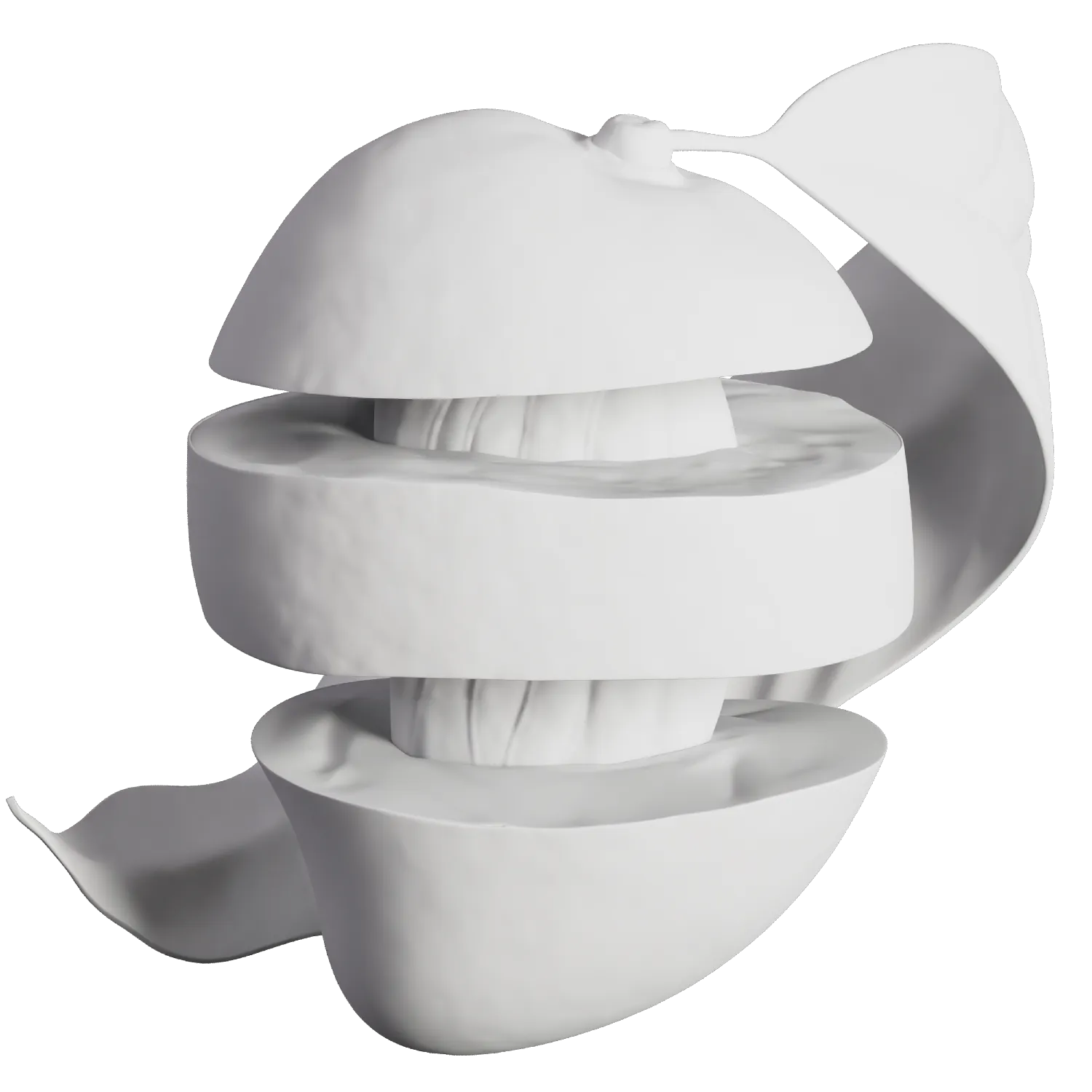 Lambertian shader of the mango label