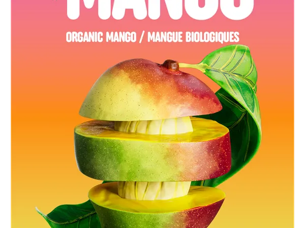 Mango Slices
