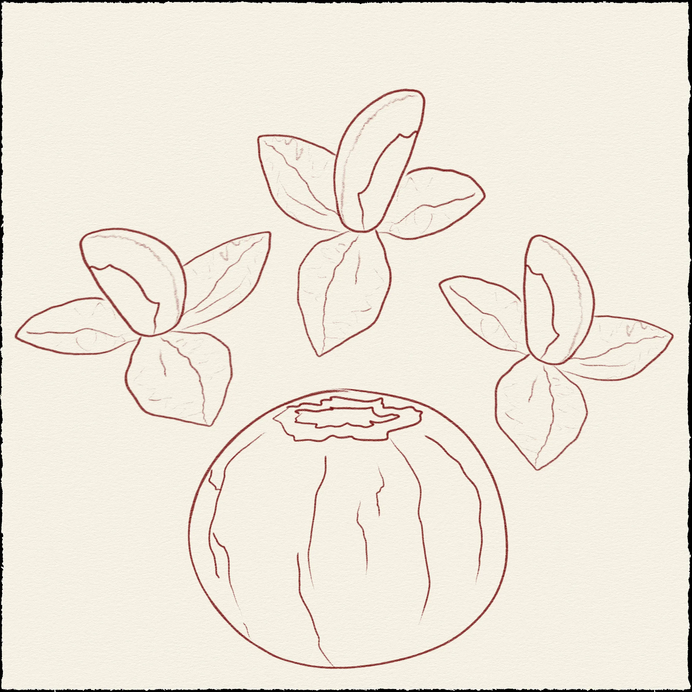 Sketch 04