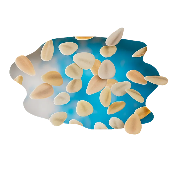 Beauty render MONKI BIO White tahini