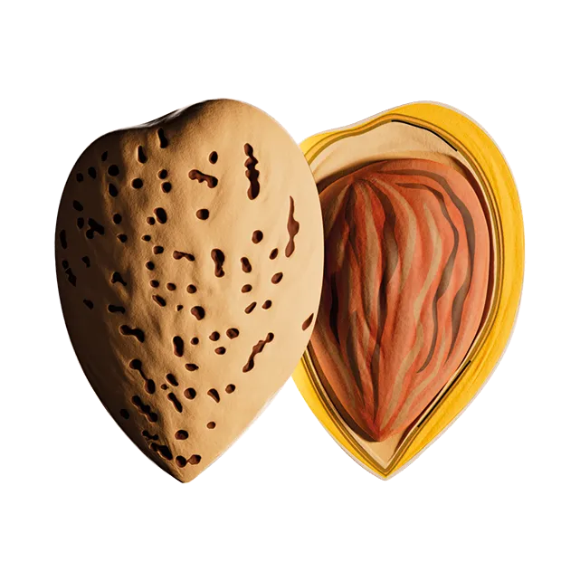 Beauty render MONKI BIO Almond butter