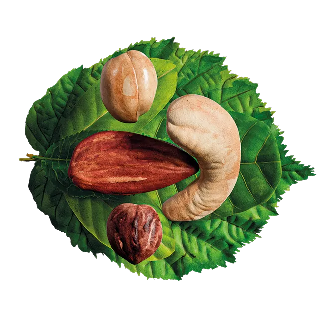 Beauty render MONKI BIO Four nut butter